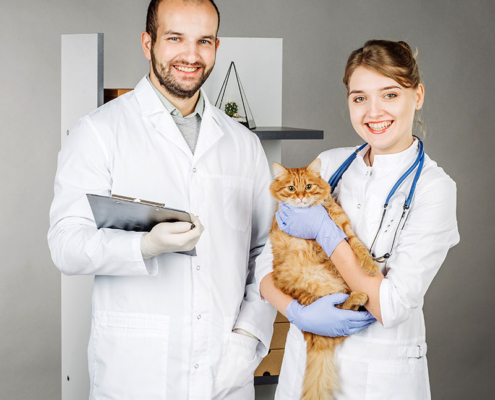 clínica veterinaria